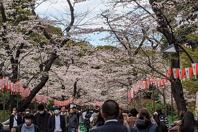 Private Day Tour In Tokyo with a Native English Speaker - Asakusa and Sensoji: the traditional Tokyo starter you’ll feel right away
