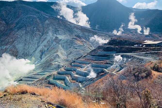 Private Fuji Hakone Tour Charter with English Speaking Driver - Hakone Open-Air Museum: art in nature, planned for an easy hour