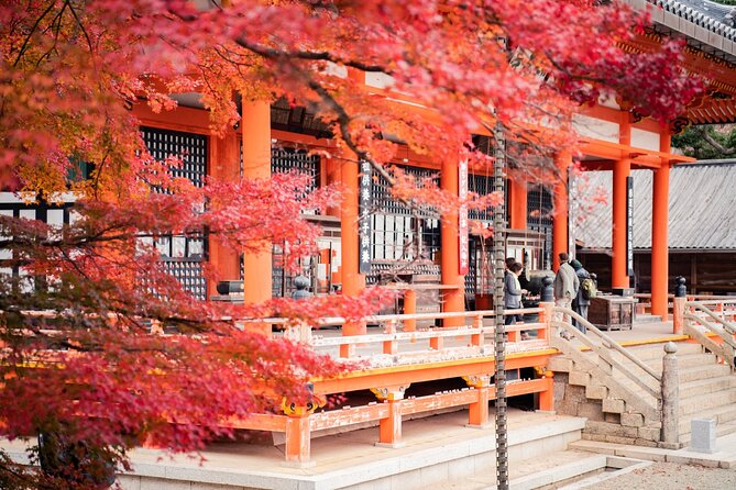Private Full-Day Kamakura-Enoshima Tour with Bilingual Driver - Private pickup that cuts the Tokyo-to-Kanagawa hassle