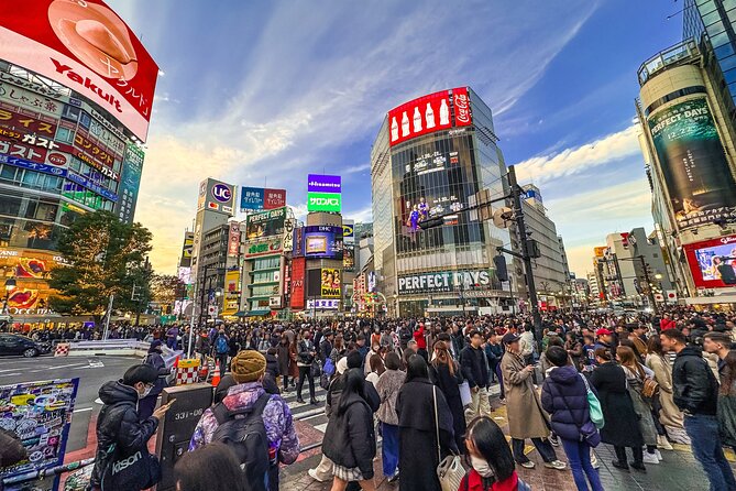 Private Full-day Tokyo Walking Subway Tour by Japan Gray Line - Key things that make this tour work