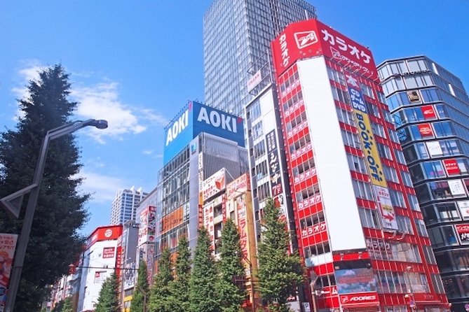 Private Full-Day Tour of Tokyo with Hotel Pickup - Stop 4: Akihabara for electronics and otaku culture