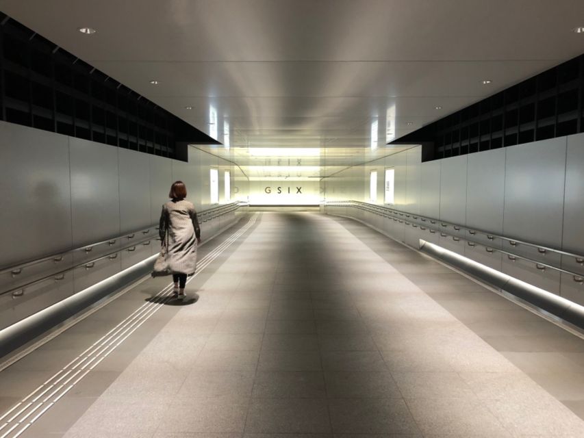 Private Ginza Architecture Tour - Who this tour suits best (and who might want a different style)