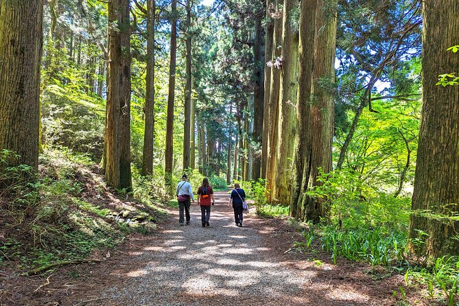 Private Hakone Tour - View of Mt. Fuji, Nature and Culture - What you’re really buying: a controlled Hakone day from Tokyo