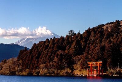 Private Hakone Tour - View of Mt. Fuji, Nature and Culture - Pickup, stations, and the morning flow out of Tokyo