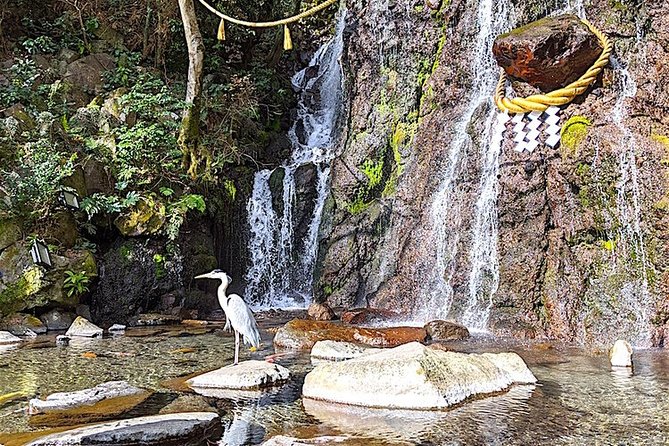 Private Hakone Tour - View of Mt. Fuji, Nature and Culture - Lake Ashi cruise: the Mt. Fuji payoff, when weather cooperates