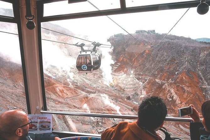 Private Hakone Tour - View of Mt. Fuji, Nature and Culture - Hakone Open Air Museum or onsen: pick your kind of downtime