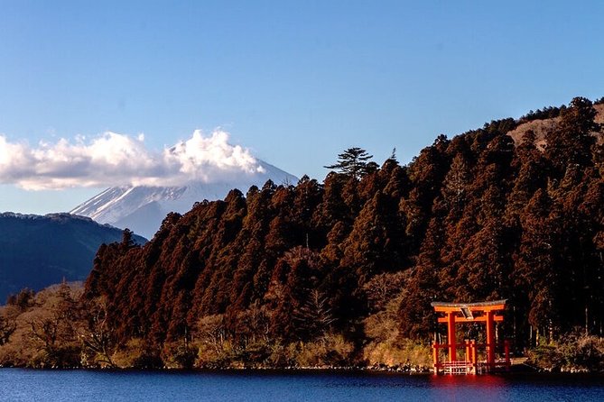 Private Hakone Tour - View of Mt. Fuji, Nature and Culture - Pickup, stations, and the morning flow out of Tokyo