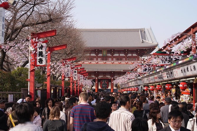 Private Japanese Sample Food Making and Asakusa History Tour - Price and Value: What You Get for About $172