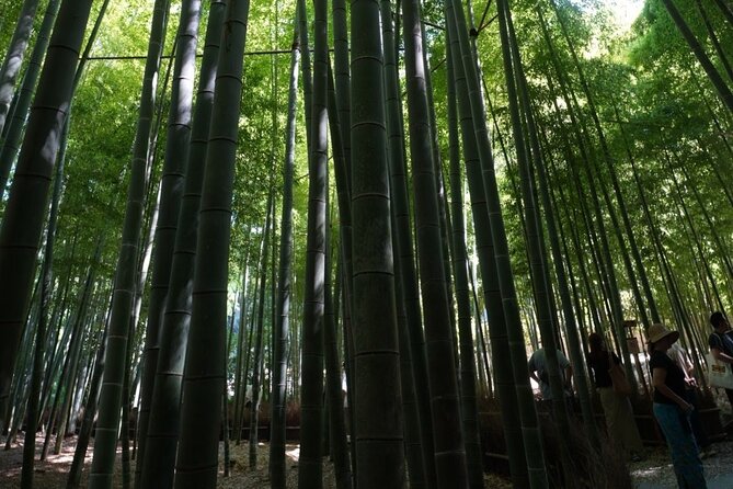 Private Kamakura Early Morning Tour (Tokyo Departure Available) - Hōkokuji (Bamboo Temple): Quiet Shade and Zen Atmosphere