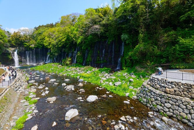 Private Mount Fuji and Hakone City Tour In luxury car from Tokyo - Key highlights you’ll care about