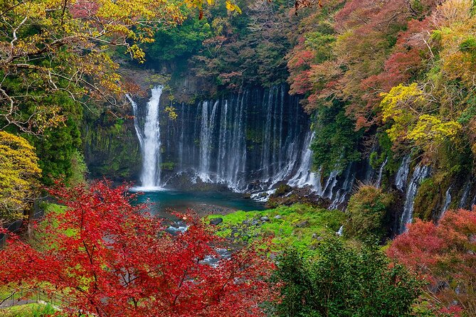 Private Mount Fuji and Hakone City Tour In luxury car from Tokyo - Mt. Fuji and Hakone in one day: the practical value of “less planning”