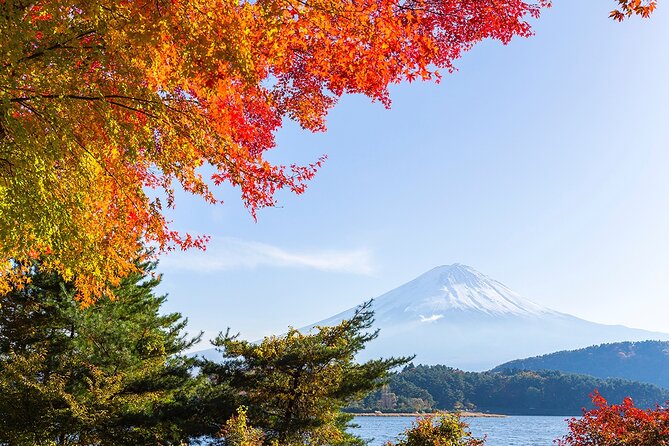 Private Mount Fuji and Hakone City Tour In luxury car from Tokyo - Stop 1: Shiraito Falls in a quick 20-minute reset