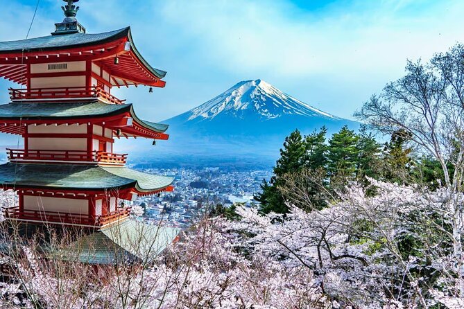Private Mount Fuji Tour in Luxury Vehicle with English Guide - Starting from Shibuya and riding in luxury all day
