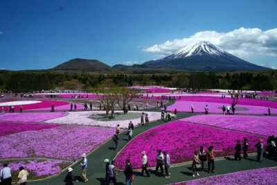 Private Mount Fuji Tour in Luxury Vehicle with English Guide - What $650 per group buys you (and who it’s best for)