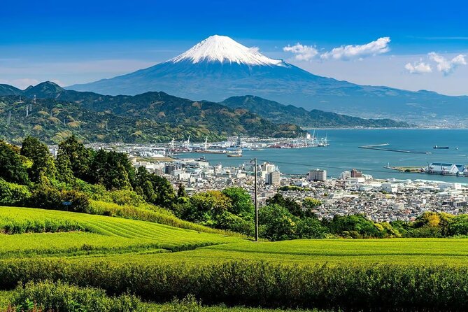Private Mount Fuji Tour in Luxury Vehicle with English Guide - Lake Kawaguchiko: your Fuji “main gateway” moment