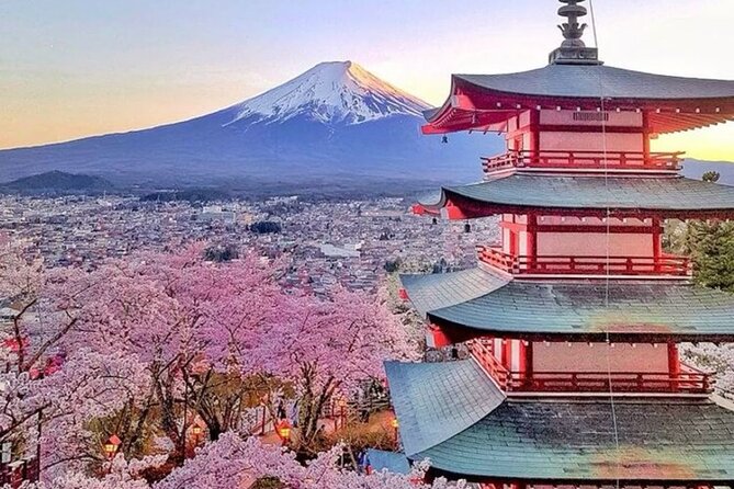 Private Mount Fuji Tour in Luxury Vehicle with English Guide - Oshino Hakkai ponds: calm water with Fuji behind it