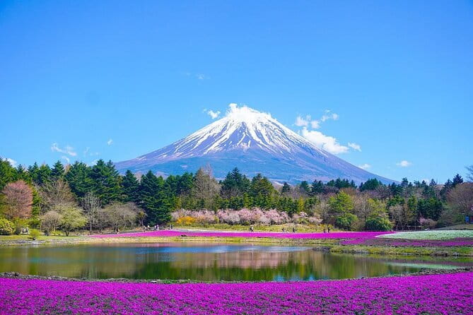 Private Mount Fuji Tours with Car Pickup from Tokyo - Key Highlights You’ll Care About