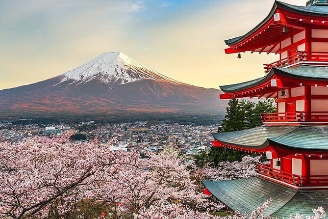 Private Mount Fuji Tours with Car Pickup from Tokyo - Mt. Fuji 5th Station: Close Views, Souvenirs, and Seasonal Access