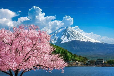 Private Mount Fuji Tours with Car Pickup from Tokyo - Tokyo Pickup to Fuji Rhythm: The Comfort Factor
