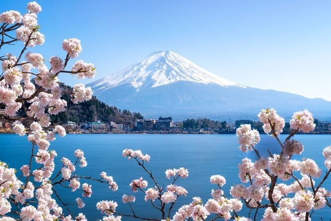 Private Mount Fuji Tours with Car Pickup from Tokyo - Chureito Pagoda at Arakura Sengen Shrine: Classic Fuji Composition