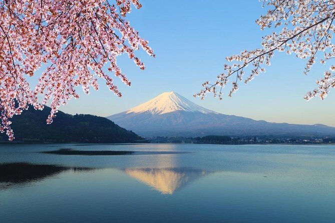 Private Mt. Fuji Custom Tour from Tokyo - Key highlights you’ll feel during the day