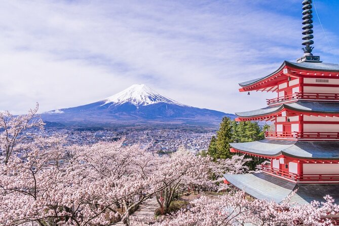 Private Mt. Fuji Custom Tour from Tokyo - How this private Mt. Fuji day runs from Tokyo