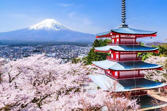 Private Mt. Fuji Day Trip from Tokyo with English-Speaking Driver - Private car and English-speaking driver: your Fuji-day advantage