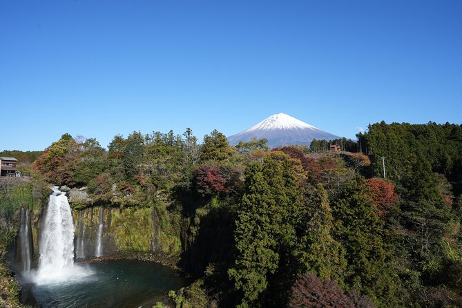 Private Mt. Fuji Day Trip from Tokyo with English-Speaking Driver - Lake Kawaguchiko plus Oishi Park: choosing your Fuji angle