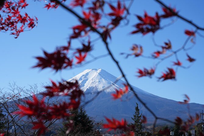 Private Mt. Fuji Day Trip from Tokyo with English-Speaking Driver - Kachi-Kachi Ropeway: the extra ticket that can turn a good day into a great one