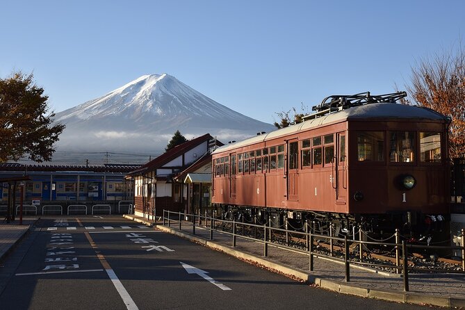Private Mt Fuji, Hakone and Tokyo Tour - English Speaking Driver - Lake Kawaguchiko in 10 minutes: what you can realistically do