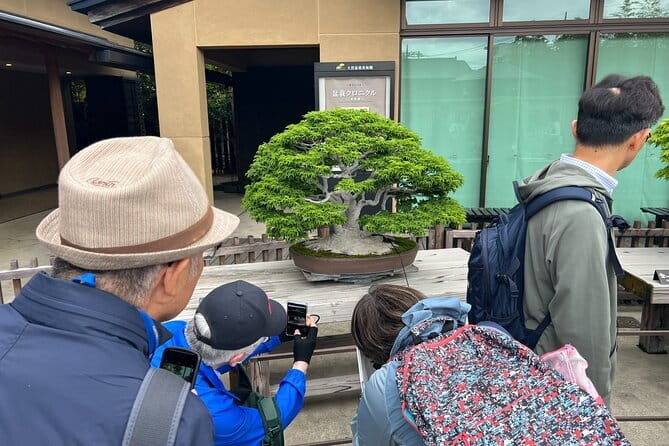 Private Omiya Bonsai Village Tour with Licensed Guide - Private Licensed Guide in Tokyo: Less Stress, More Answers