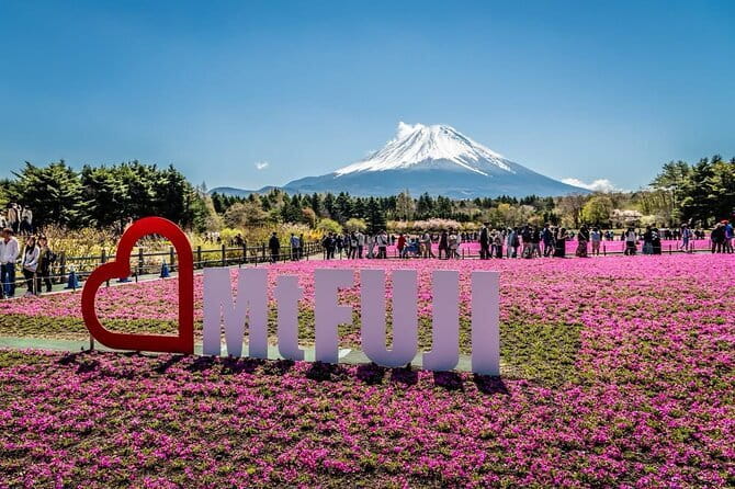 Private One Way Tokyo Hotel Transfer to Yokohama Port - Price and value: $159.58 per group (up to 6) and what that means