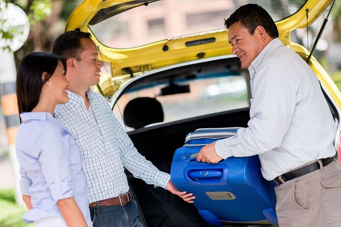 Private One-way Transfer Narita Airport To Tokyo - What You Actually Get: Car, Waiting Time, and Meet-and-Greet