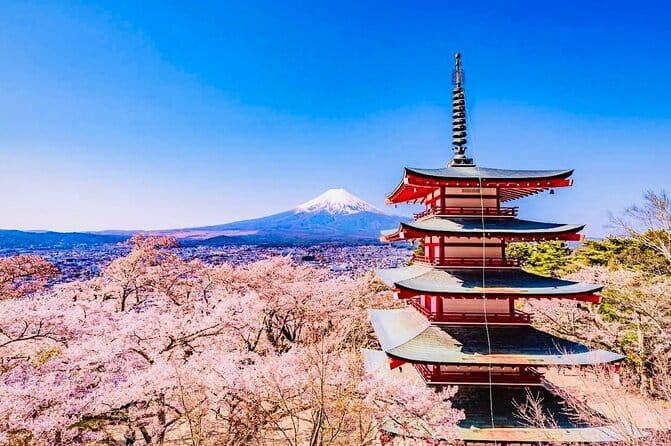 Private Sightseeing to Mt Fuji and Hakone with English Driver - Key points worth your attention