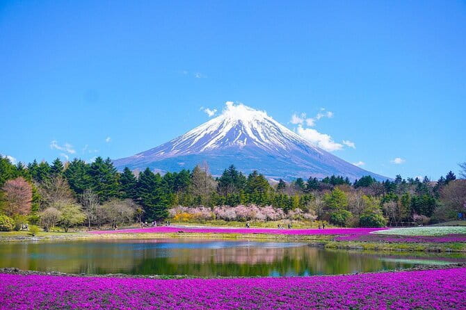 Private Sightseeing to Mt Fuji and Hakone with English Driver - Why a private English-driven day works for Mt Fuji