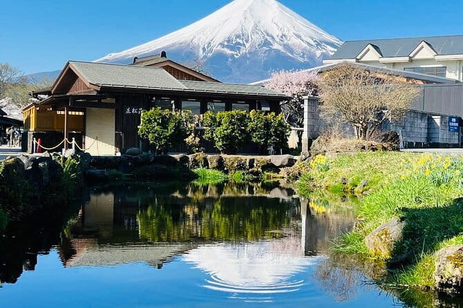 Private Sightseeing to Mt Fuji and Hakone with English Driver - Getting from Tokyo: timing is everything