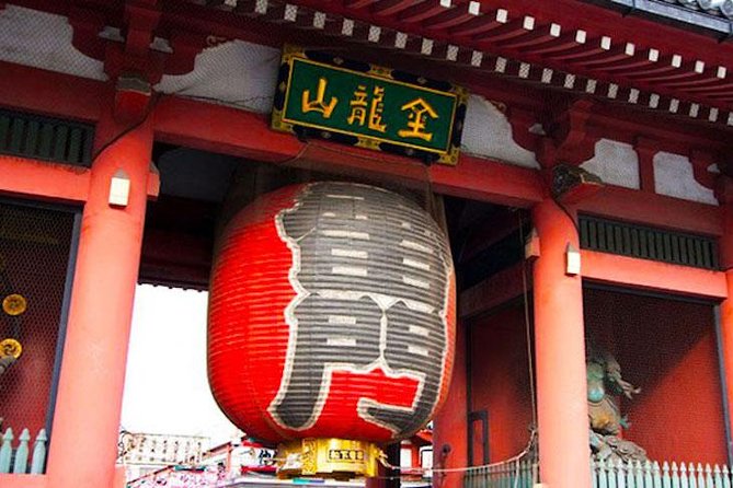 Private Tokyo Custom Full-Day Tour by Chartered Vehicle - Meiji Jingu Shrine: two big gates and a calmer pause