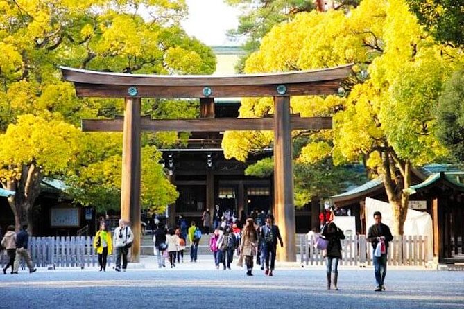 Private Tokyo Custom Half-Day Tour by Chartered Vehicle - Asakusa and Sensoji: temple streets with real momentum