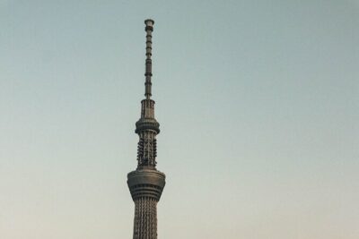 Private Tokyo Day-Tour by Car with English Speaking Guide. - The Flow of the Day: From Ueno to Odaiba Without the Transit Stress