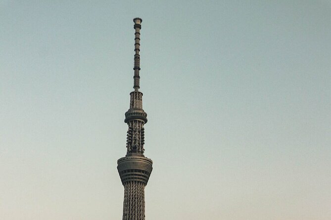 Private Tokyo Day-Tour by Car with English Speaking Guide. - The Flow of the Day: From Ueno to Odaiba Without the Transit Stress