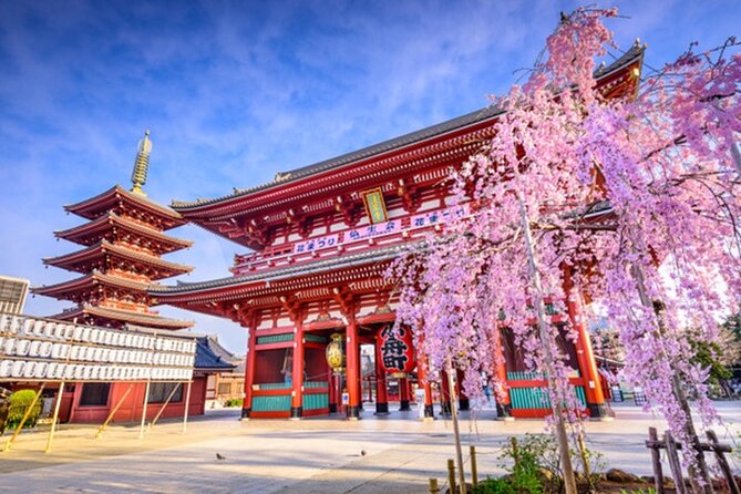 Private Tokyo Tour with English Speaking Guide - Starting at Tokyo Station, with hotel pickup and a mobile ticket