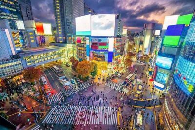 Private Tokyo Tour with English Speaking Guide - Shibuya Crossing and Harajuku Station: the Tokyo people actually talk about
