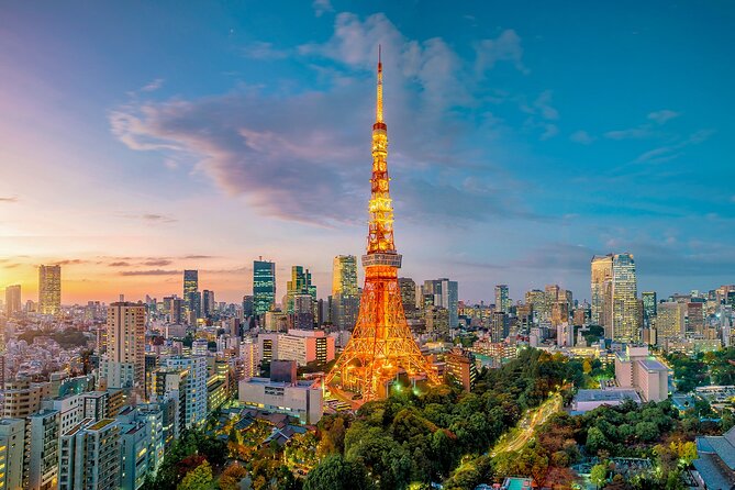 Private Tokyo Tour with English Speaking Guide - Shinjuku for an hour: skyline photos, city pace, and choices