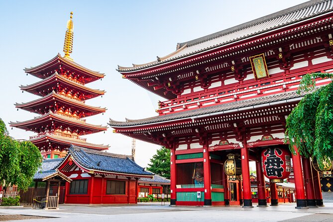 Private Tokyo Tour with Licensed Guide & Vehicle (Max 15 persons) - How the 6-hour format really shapes your day