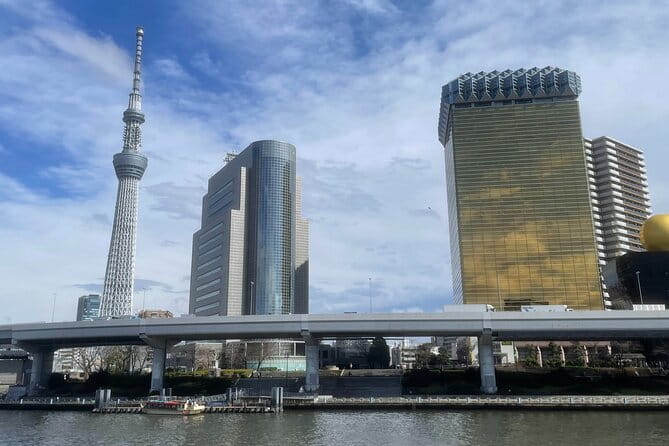 Private Tokyo Tour with Local Guide - Tsukiji First Thing: Morning market energy without getting lost