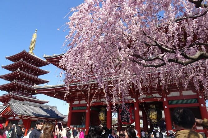 Private Tokyo with Exceptional Guide Tailored to Your Needs - What you’re really buying: a Tokyo plan that adjusts to you