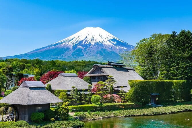 Private Tour : Experience Old Tokyo: Cultural Walk in Yanaka Nezu - Nezu Shrine stop: historical atmosphere, and tickets may be separate