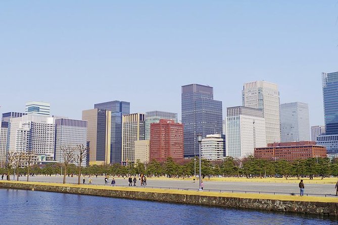 Private Tour - History, Art and Nature at the Imperial Palace - Chidorigafuchi: the nature-in-the-city photo walk