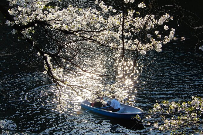 Private Tour - History, Art and Nature at the Imperial Palace - What you actually pay: $90.60 value and the small extra costs