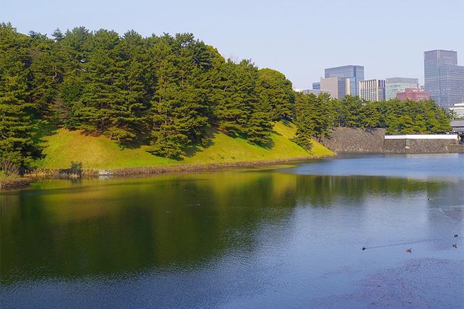 Private Tour - History, Art and Nature at the Imperial Palace - Who this tour fits best (and who might feel limited)